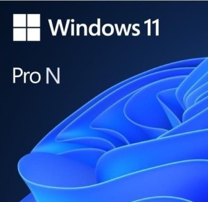 Windows 11 PRO N