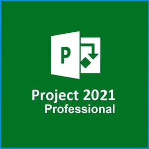 Microsoft Project Professional 2021