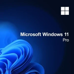 Windows 11 Pro